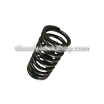 دیزل یدک شاپ خرید و فروش فنر سوپاپ بزرگ کامیونت M6 در تهران حسن آباد