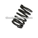 دیزل یدک شاپ خرید و فروش فنر سوپاپ کوچک کامیونت M6 در تهران حسن آباد