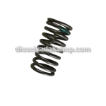 دیزل یدک شاپ خرید و فروش فنر سوپاپ بزرگ کامیونت M6 در تهران حسن آباد