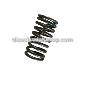 دیزل یدک شاپ خرید و فروش فنر سوپاپ بزرگ کامیونت M6 در تهران حسن آباد