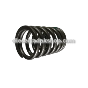 دیزل یدک شاپ خرید و فروش فنر سوپاپ کوچک کامیونت M6 در تهران حسن آباد